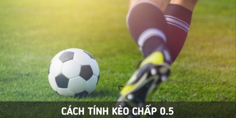 Cách tính kèo chấp nửa trái